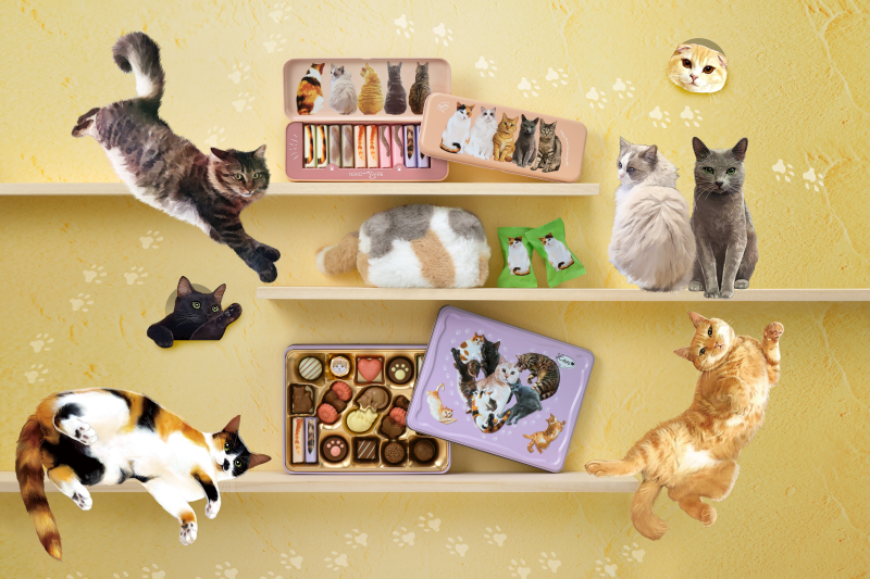 ねこみゃみれKV